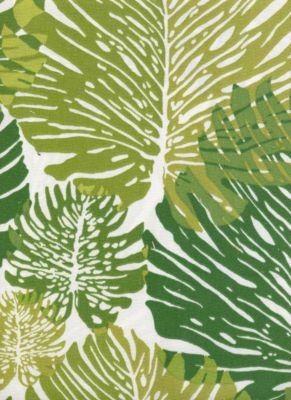 Monstera Green