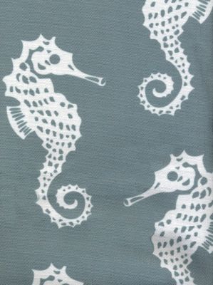 Pipefish Earth