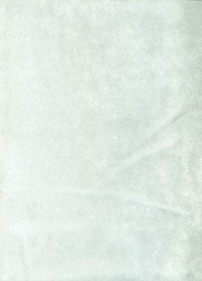 Passion Suede Seafoam