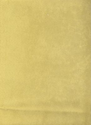 Passion Suede Celery