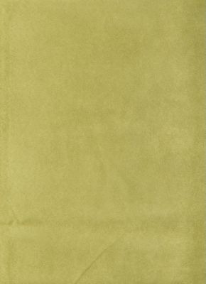 Passion Suede Sage
