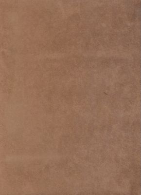 Passion Suede New Mocha