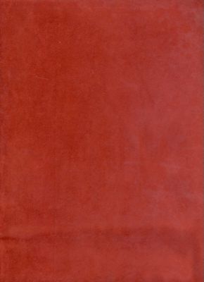 Passion Suede Brick