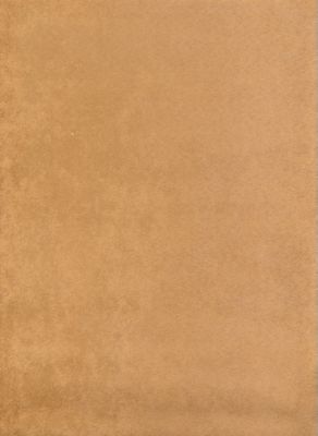 Passion Suede Tuscan