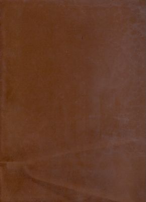 Passion Suede Chocolate