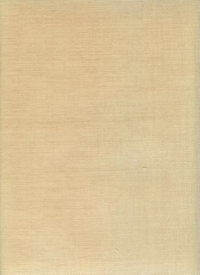 Patriot Birch