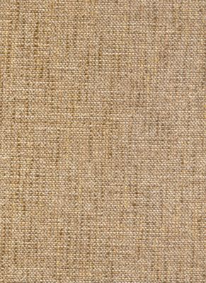 Protege Oyster