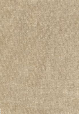 Avignon Dove