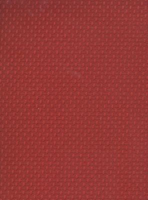 Savanna Brick