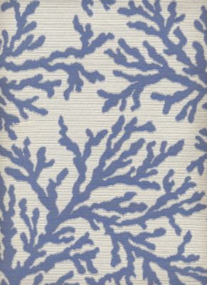 Coral Bay Porcelain