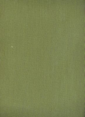 Canvas Turf
