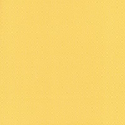 Scoop Sunshine