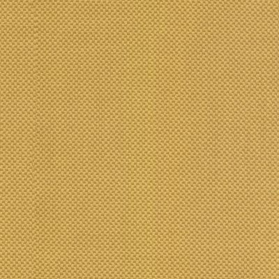 Scoop Cork