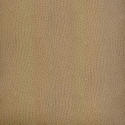Outback Birch