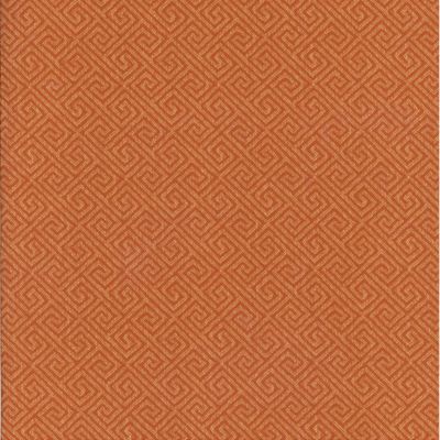 Trace Apricot
