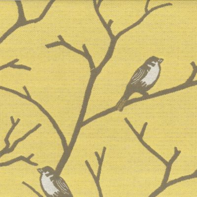 Bird's Eye View Cornsilk
