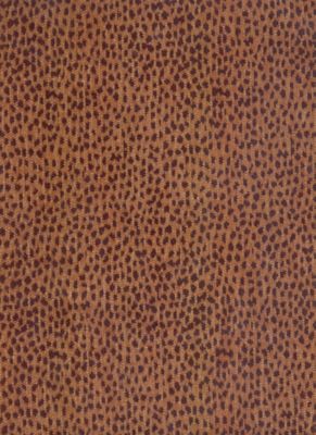 Siamese Leather