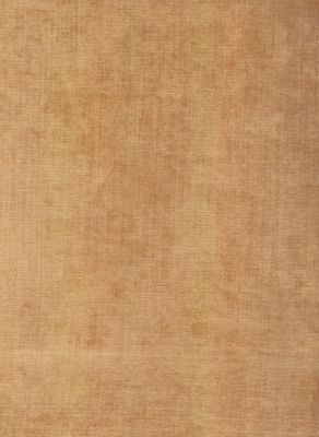 Vitalize Bronze