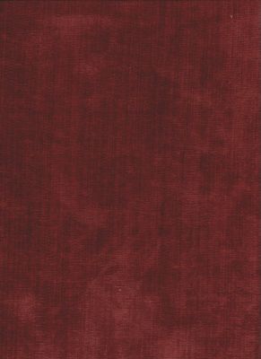Vitalize Grenadine