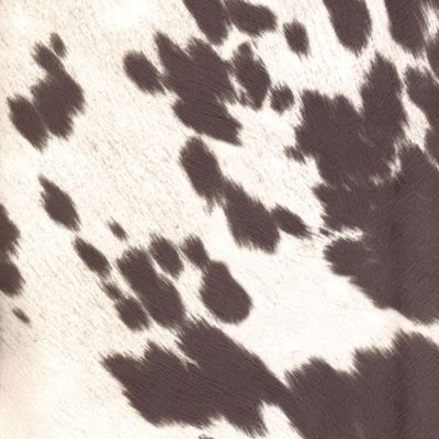 Udder Madness Black