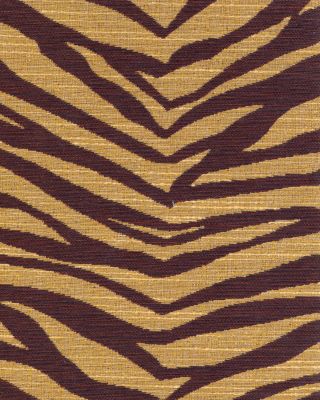 Africa Wild