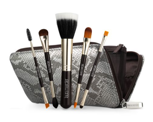 Travel Brush Set
