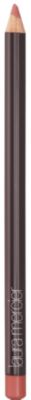Lip Pencil