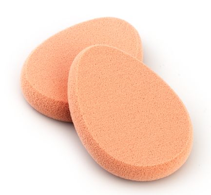 4-Pack Sponge
