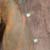Dist Tan/Brown