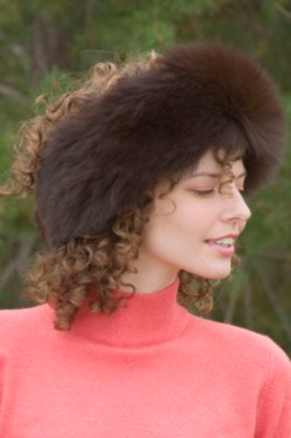 Fox Headband