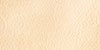 Palomino/Check