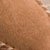 Cocoa