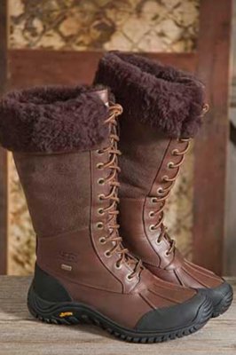 Women's Adirondack Tall UGG Boots