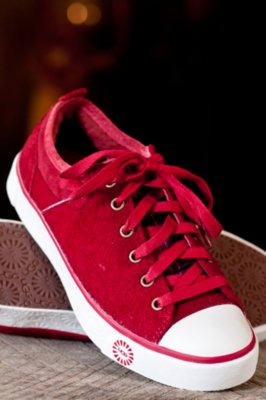 Women's Evera Wool UGG Sneaker Shoes