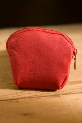 Shell Coin Leather Bag