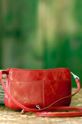 Women's Hobo Bella Leather Handbag