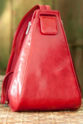 Women's Hobo Betta Leather Handbag