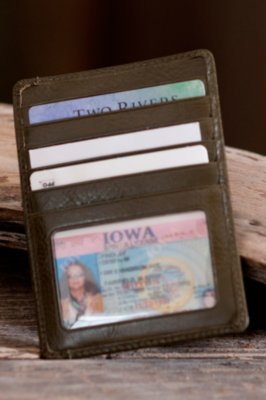 Women's Hobo Euro Slide Leather Wallet, MOSS, Size 1 SIZE