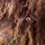 Toffee Brown/Caramel