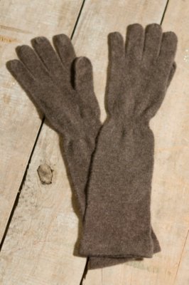 Women's Classic Carolina Amato Cashmere Long Gloves