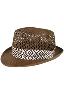 The Santiago Goorin Brothers Fedora Hat