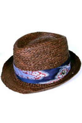 The Erwin Goorin Brothers Fedora Hat