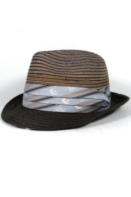 The Cruz Goorin Brothers Fedora Hat