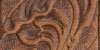 Aged Bark