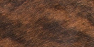 Dark Brindle