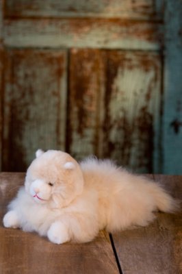 Children's Alpaca Cat