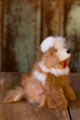 Children's Alpaca Wolf