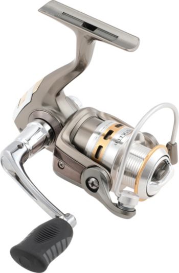 Avocett IV Gold