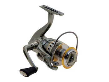 Avocet II Gold