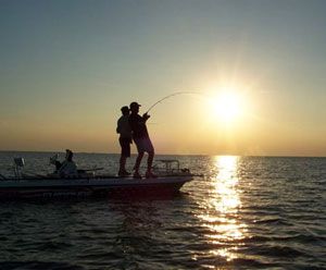 Service: Reels -- USA Service: Reels -- USA
